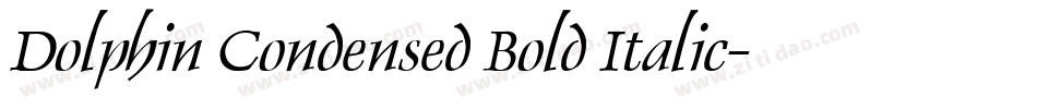 Dolphin Condensed Bold Italic字体转换